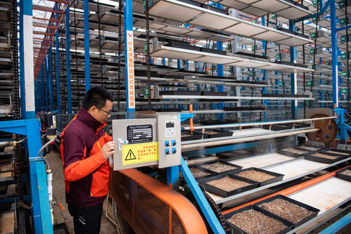 圖文互動 保姆式服務(wù) 智能化工廠 連片化土地 水稻大省湖南春耕一線觀察